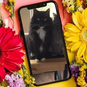 Meet your Posher, Margie